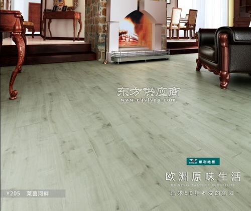 常州強(qiáng)化地板,強(qiáng)化地板,常州復(fù)合地板品牌圖片