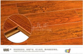 揚(yáng)子地板 強(qiáng)化復(fù)合木地板 12mm強(qiáng)化地板 yw5863