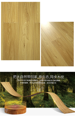 大自然強化地板【依云如風(fēng)LC6606】名品主材包